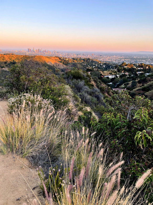 View of the trail to the Hollywood sign